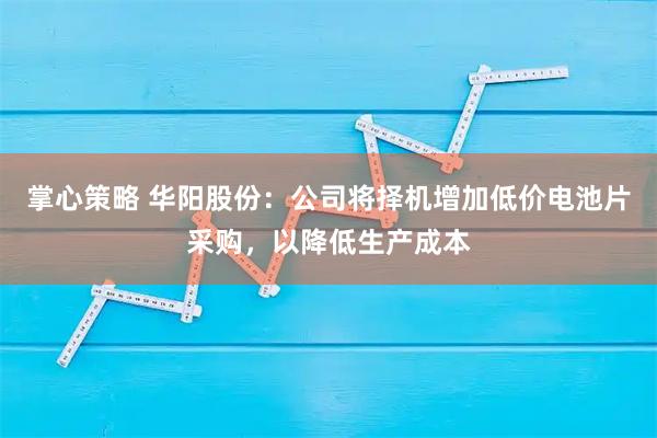 掌心策略 华阳股份：公司将择机增加低价电池片采购，以降低生产成本